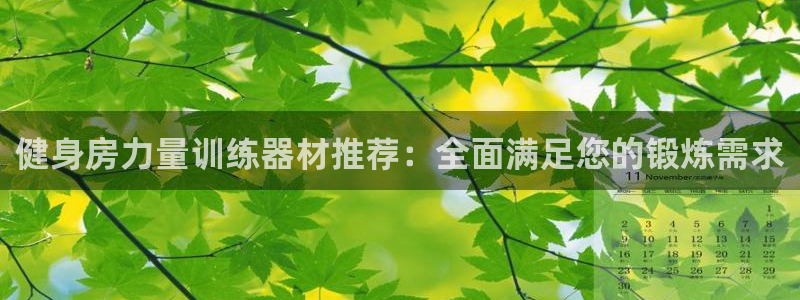 哈哈体育官方：健身房力量训练器材推荐：全面满足您的锻