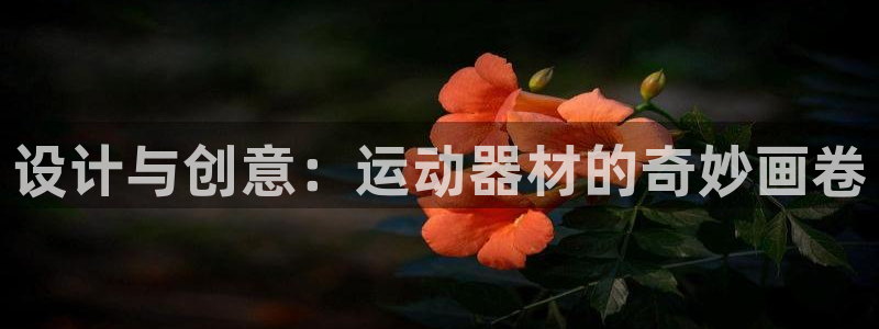 哈哈体育官方客服电话：设计与创意：运动器材的奇妙画卷