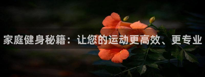 哈哈体育集团E.ON：家庭健身秘籍：让您的运动更高效、更专业